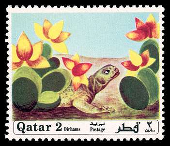 Click For Larger REPRESENTATIVE Image