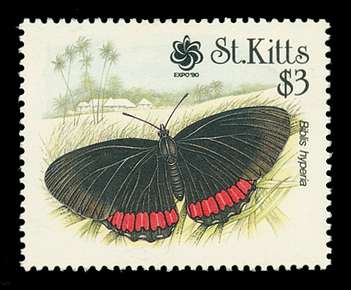 Click For Larger REPRESENTATIVE Image