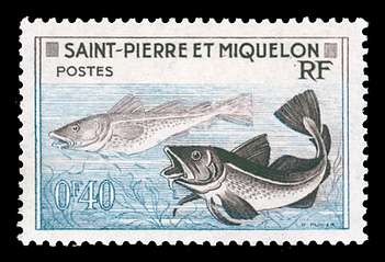 Click For Larger REPRESENTATIVE Image