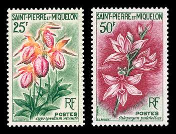 Click For Larger REPRESENTATIVE Image