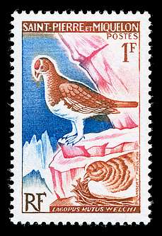 Click For Larger REPRESENTATIVE Image
