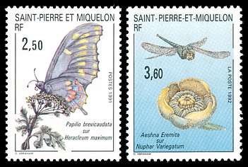 Click For Larger REPRESENTATIVE Image
