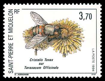 Click For Larger REPRESENTATIVE Image