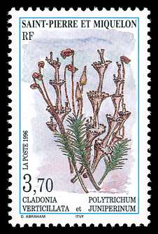 Click For Larger REPRESENTATIVE Image