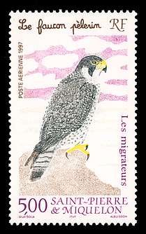 Click For Larger REPRESENTATIVE Image
