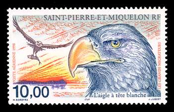 Click For Larger REPRESENTATIVE Image