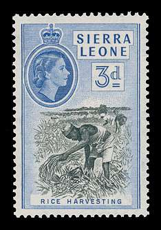 Click For Larger REPRESENTATIVE Image