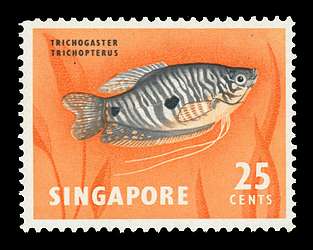 Click For Larger REPRESENTATIVE Image