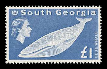 Click For Larger EXACT ACTUAL Image