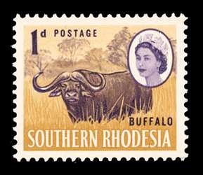 Click For Larger REPRESENTATIVE Image