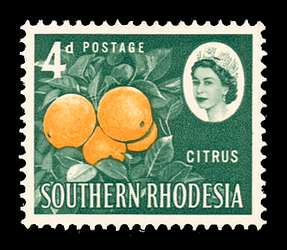 Click For Larger REPRESENTATIVE Image