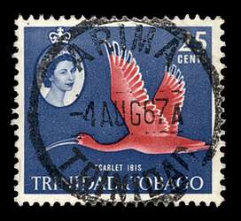 Click For Larger EXACT ACTUAL Image