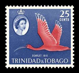 Click For Larger REPRESENTATIVE Image