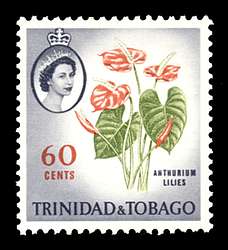 Click For Larger REPRESENTATIVE Image