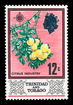 Click For Larger REPRESENTATIVE Image