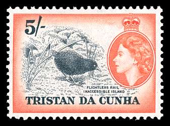 Click For Larger EXACT ACTUAL Image