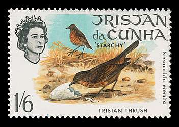 Click For Larger REPRESENTATIVE Image