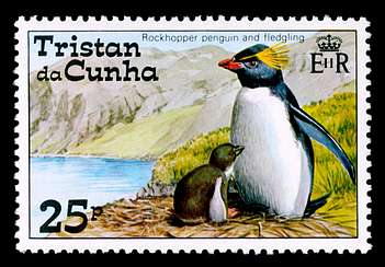 Click For Larger REPRESENTATIVE Image