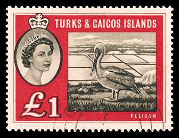 Click For Larger EXACT ACTUAL Image