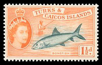 Click For Larger REPRESENTATIVE Image