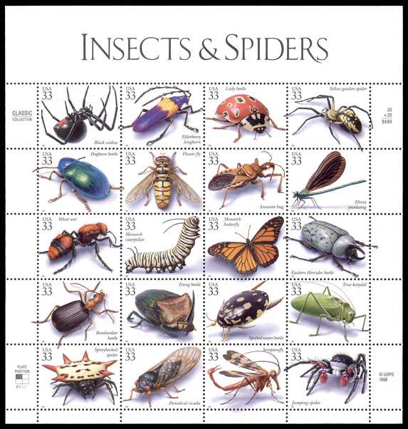 Click For Larger REPRESENTATIVE Image