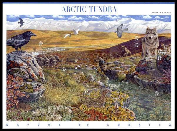 Click For Larger REPRESENTATIVE Image