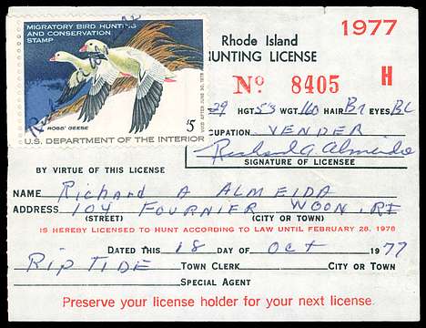 Click For Larger EXACT ACTUAL Image
