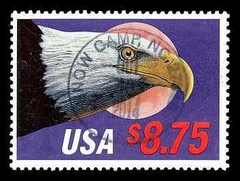 Click For Larger EXACT ACTUAL Image