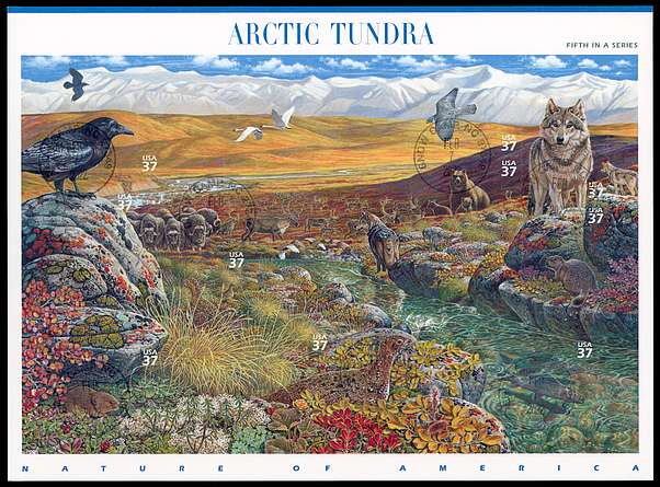 Click For Larger EXACT ACTUAL Image